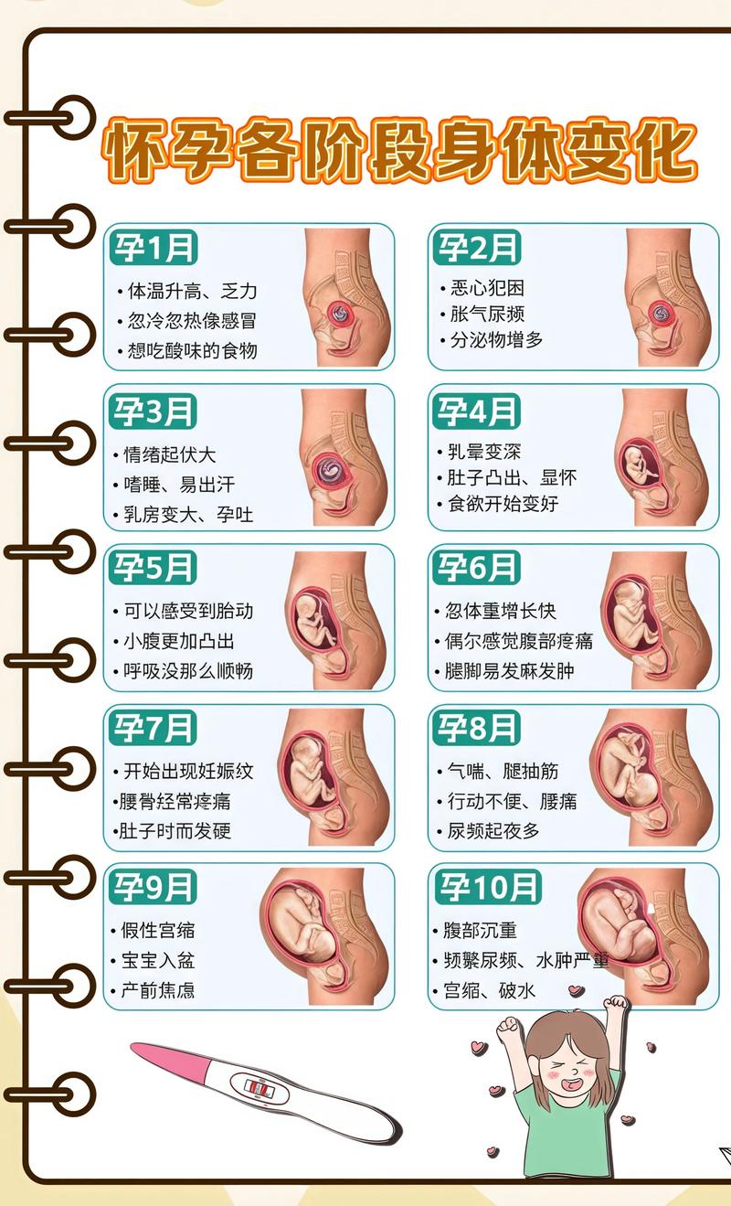 揭秘供卵代孕妈妈怀孕小腹分两节，孕期变化的奥秘延庆代生机构:
