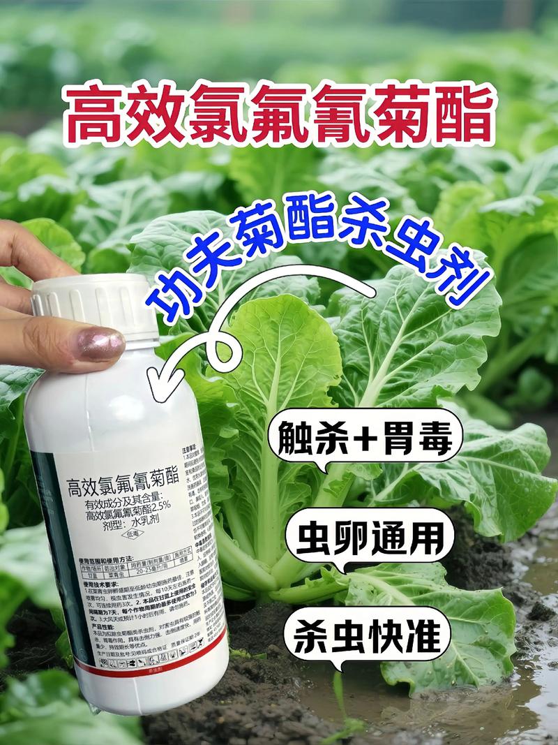 延庆代生中心:农药对供卵代生妈妈的危害